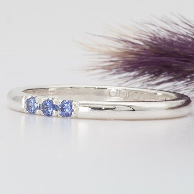 Anillo Horizonte 2mm